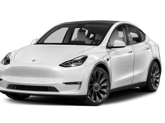 TESLA MODEL Y 2020 5YJYGDEE2LF043982 image